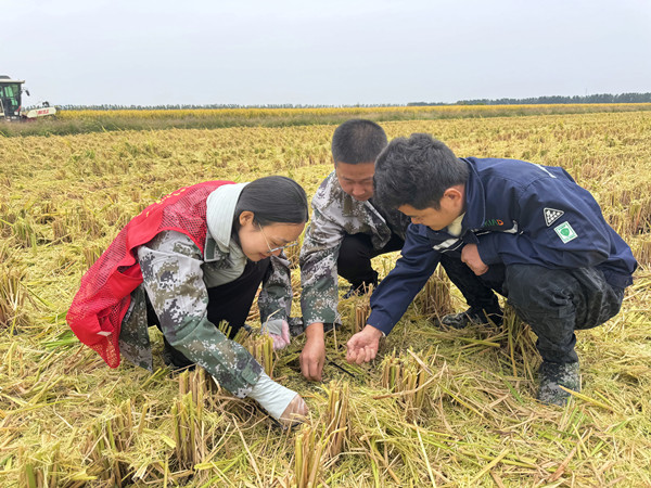 志愿服务助“三秋”_副本.jpg