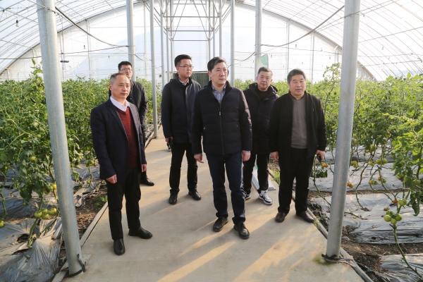 微信图片_20250215082101_副本.jpg