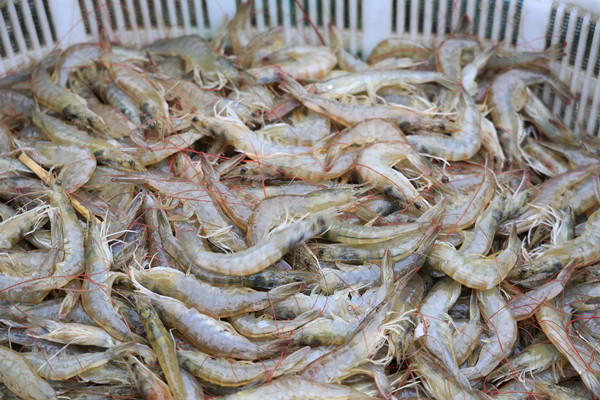 IMG_9726_副本.jpg