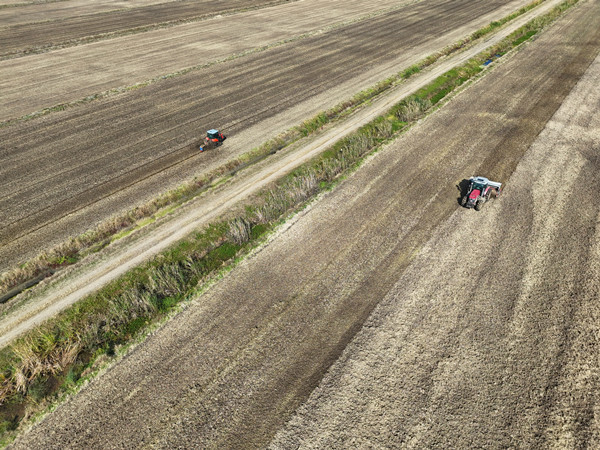 1762330354740833.jpg QQ图片20251105150545_副本.jpg