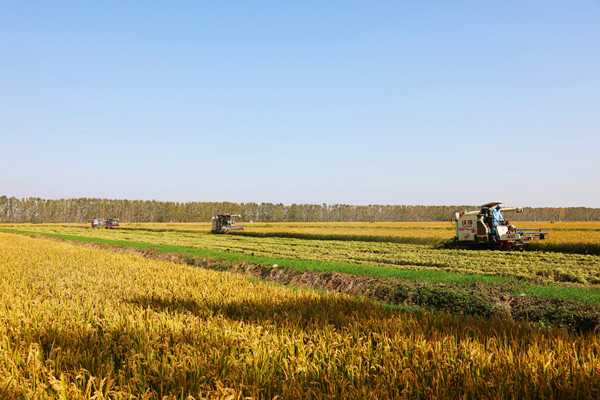 1762665768989883.jpg QQ图片20251109130141_副本_副本.jpg