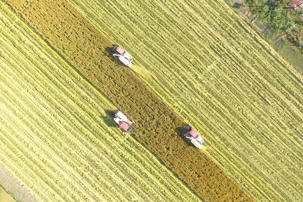 1762665775458497.jpg QQ图片20251109130145_副本_副本.jpg