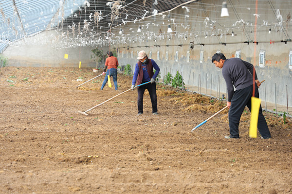 1773020222420447.jpg 3_副本.jpg