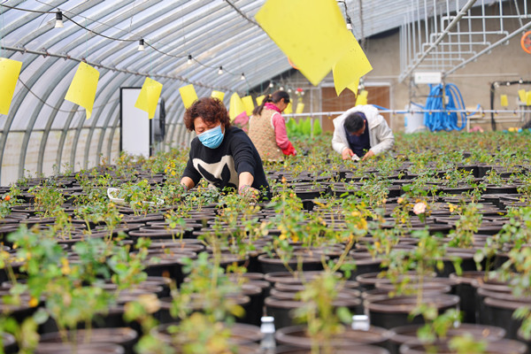 1774512652476598.jpg 13B2C8E8646A28BF2A1DFE55E91DA17E_副本.jpg