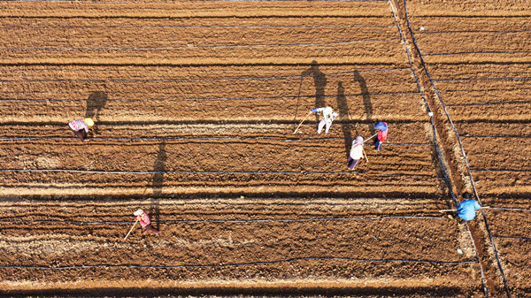 1788771634908237.jpg DJI_20260907072458_0672_D_副本.jpg