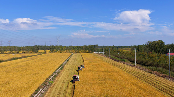 95FCE614AAE14D75CA908FC04835D269_副本.jpg