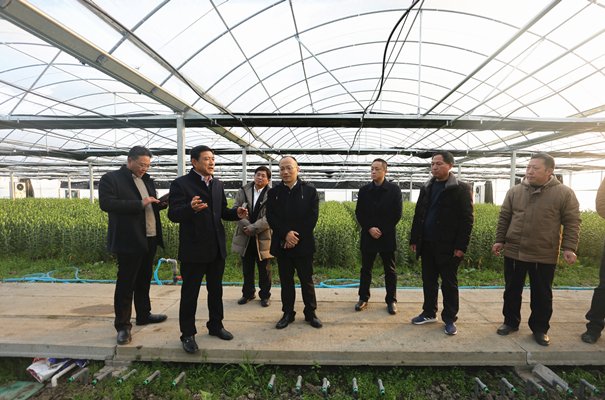 3Q4A9262 - 副本_副本_副本.jpg